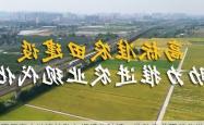 隆昌市土地流转助力规模化种植，推动农业现代化发展